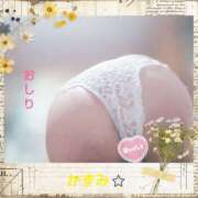 ヒメ日記 2025/10/08 15:57 投稿 かずみ 加古川10,000円ポッキー