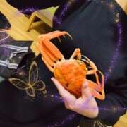 ヒメ日記 2025/01/26 23:17 投稿 あられ 加古川10,000円ポッキー