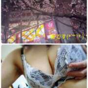 ヒメ日記 2025/03/23 09:46 投稿 あられ 加古川10,000円ポッキー