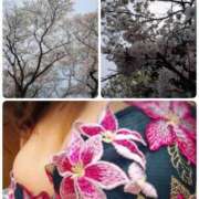 ヒメ日記 2025/04/08 10:15 投稿 あられ 加古川10,000円ポッキー