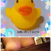 ヒメ日記 2025/08/05 10:23 投稿 あられ 加古川10,000円ポッキー