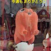 ヒメ日記 2025/10/19 20:01 投稿 あられ 加古川10,000円ポッキー