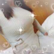 ヒメ日記 2025/11/17 13:45 投稿 あられ 加古川10,000円ポッキー