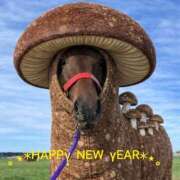 ヒメ日記 2026/01/01 11:54 投稿 あられ 加古川10,000円ポッキー