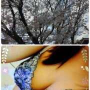 ヒメ日記 2026/04/02 21:38 投稿 あられ 加古川10,000円ポッキー