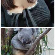 ヒメ日記 2026/04/12 10:01 投稿 あられ 加古川10,000円ポッキー