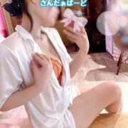 さんだーばーど こんにちは🌺 とりはだ