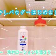 さんだーばーど こんにちは♪さんだーばーどです♡ とりはだ
