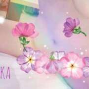 ヒメ日記 2025/02/04 23:35 投稿 しずか スピードエコ梅田店