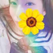 ヒメ日記 2025/03/21 23:25 投稿 しずか スピードエコ梅田店