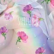 ヒメ日記 2025/04/19 18:06 投稿 しずか スピードエコ梅田店