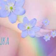 ヒメ日記 2025/04/29 13:55 投稿 しずか スピードエコ梅田店