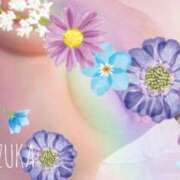 ヒメ日記 2025/06/12 22:25 投稿 しずか スピードエコ梅田店