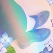 ヒメ日記 2025/06/14 15:05 投稿 しずか スピードエコ梅田店