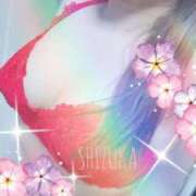 ヒメ日記 2025/07/04 18:35 投稿 しずか スピードエコ梅田店