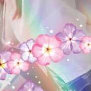 ヒメ日記 2025/08/17 00:15 投稿 しずか スピードエコ梅田店