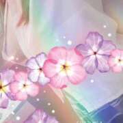 ヒメ日記 2026/02/03 18:13 投稿 しずか スピードエコ梅田店