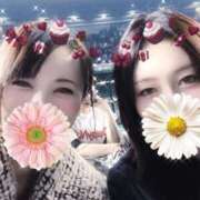 ヒメ日記 2025/02/12 13:51 投稿 深田雪乃 プレジデントクラブ