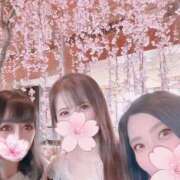 深田雪乃 ☆桜の園☆ プレジデントクラブ