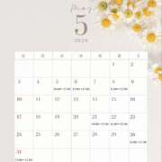 ゆい 5月の予定✨ クラブハウスシェル