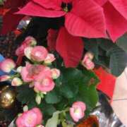 ヒメ日記 2024/12/12 19:12 投稿 下山秋絵（しもやまあきえ） 五十路マダム 滋賀店(カサブランカグループ)