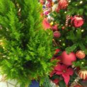 ヒメ日記 2024/12/14 01:39 投稿 下山秋絵（しもやまあきえ） 五十路マダム 滋賀店(カサブランカグループ)