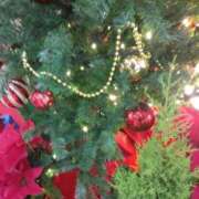 ヒメ日記 2024/12/16 04:50 投稿 下山秋絵（しもやまあきえ） 五十路マダム 滋賀店(カサブランカグループ)