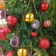 ヒメ日記 2024/12/21 17:52 投稿 下山秋絵（しもやまあきえ） 五十路マダム 滋賀店(カサブランカグループ)