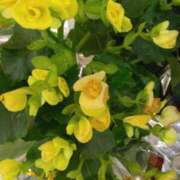 ヒメ日記 2024/12/25 16:28 投稿 下山秋絵（しもやまあきえ） 五十路マダム 滋賀店(カサブランカグループ)