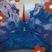 ヒメ日記 2025/01/08 00:38 投稿 下山秋絵（しもやまあきえ） 五十路マダム 滋賀店(カサブランカグループ)