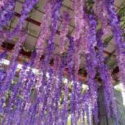 ヒメ日記 2025/05/07 05:26 投稿 下山秋絵（しもやまあきえ） 五十路マダム 滋賀店(カサブランカグループ)