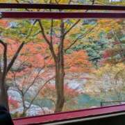 ヒメ日記 2025/11/19 02:07 投稿 下山秋絵（しもやまあきえ） 五十路マダム 滋賀店(カサブランカグループ)