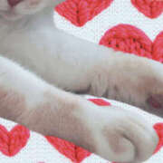 ヒメ日記 2025/02/23 17:32 投稿 くるみ 仙台人妻セレブリティー