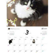 ヒメ日記 2025/03/16 16:02 投稿 くるみ 仙台人妻セレブリティー