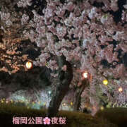 ヒメ日記 2025/04/13 14:48 投稿 くるみ 仙台人妻セレブリティー