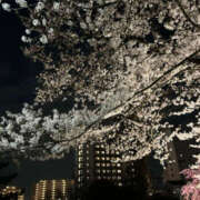 ヒメ日記 2025/04/19 15:29 投稿 くるみ 仙台人妻セレブリティー