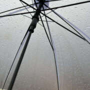 ヒメ日記 2025/04/23 12:07 投稿 くるみ 仙台人妻セレブリティー