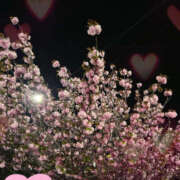 ヒメ日記 2025/05/04 14:16 投稿 くるみ 仙台人妻セレブリティー