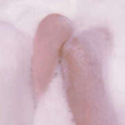 ヒメ日記 2025/05/25 13:52 投稿 くるみ 仙台人妻セレブリティー