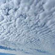 ヒメ日記 2025/06/05 12:57 投稿 くるみ 仙台人妻セレブリティー