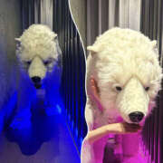 ヒメ日記 2025/06/27 13:07 投稿 くるみ 仙台人妻セレブリティー