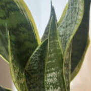 ヒメ日記 2025/08/25 14:17 投稿 くるみ 仙台人妻セレブリティー