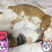 ヒメ日記 2025/09/01 14:34 投稿 くるみ 仙台人妻セレブリティー