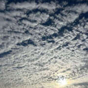 ヒメ日記 2025/09/25 12:51 投稿 くるみ 仙台人妻セレブリティー