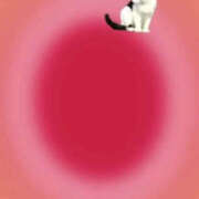 ヒメ日記 2025/09/27 16:06 投稿 くるみ 仙台人妻セレブリティー