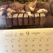 ヒメ日記 2025/09/30 15:24 投稿 くるみ 仙台人妻セレブリティー