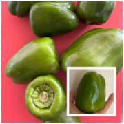 ヒメ日記 2025/10/26 13:13 投稿 くるみ 仙台人妻セレブリティー