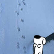 ヒメ日記 2026/01/13 13:43 投稿 くるみ 仙台人妻セレブリティー