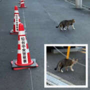 ヒメ日記 2026/01/17 10:41 投稿 くるみ 仙台人妻セレブリティー