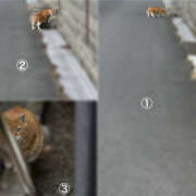 ヒメ日記 2026/02/12 12:45 投稿 くるみ 仙台人妻セレブリティー